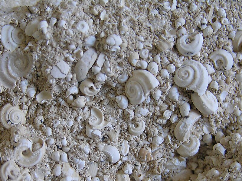 Cratere di Steinheim