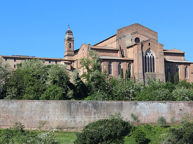 Basilica of San Francesco