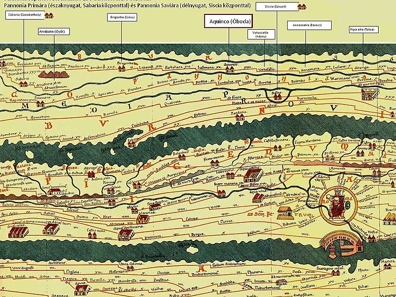 Gordellaca, Carda blaca