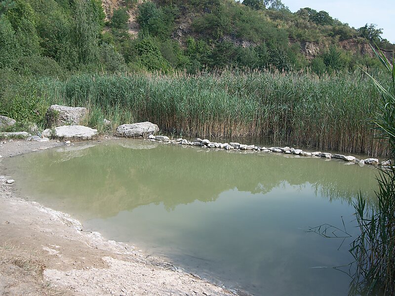 Růženin Quarry