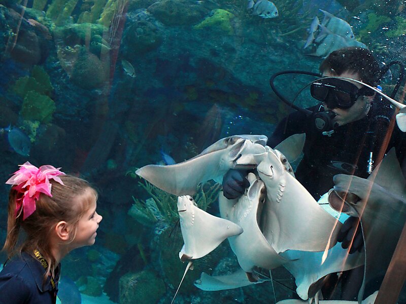 Audubon Aquarium of the Americas