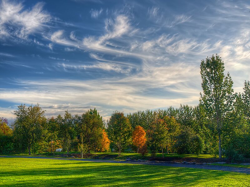 Botanical Garden of Reykjavik