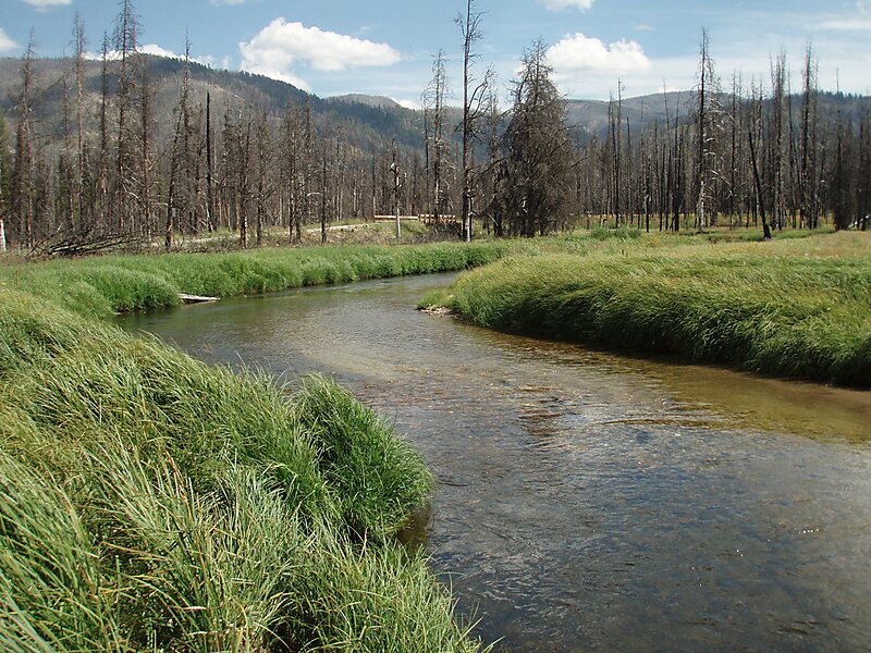 Boise National Forest
