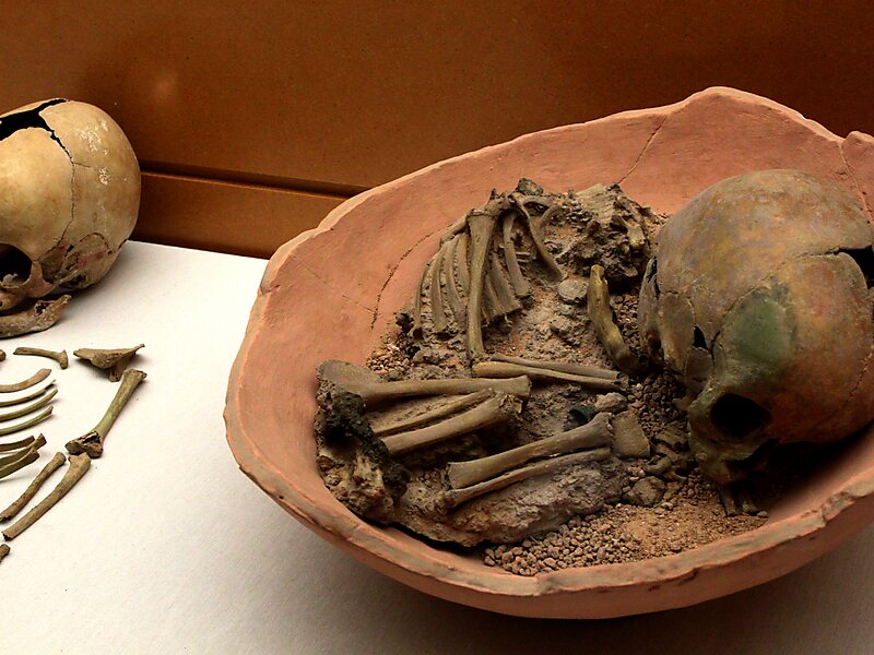 Museo de Prehistoria de Valencia