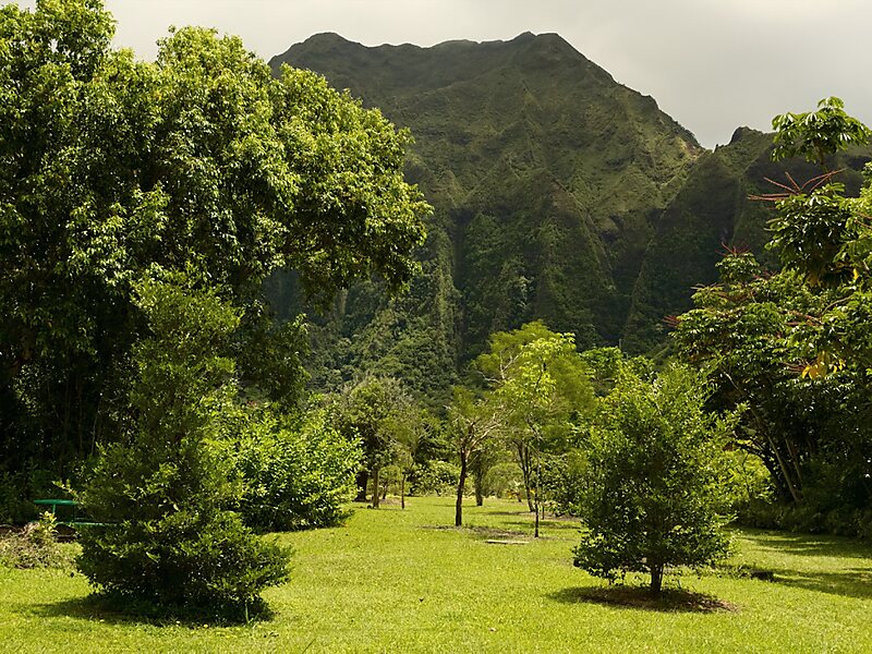 Ho Omaluhia Botanical Garden In Kaneohe United States Sygic Travel