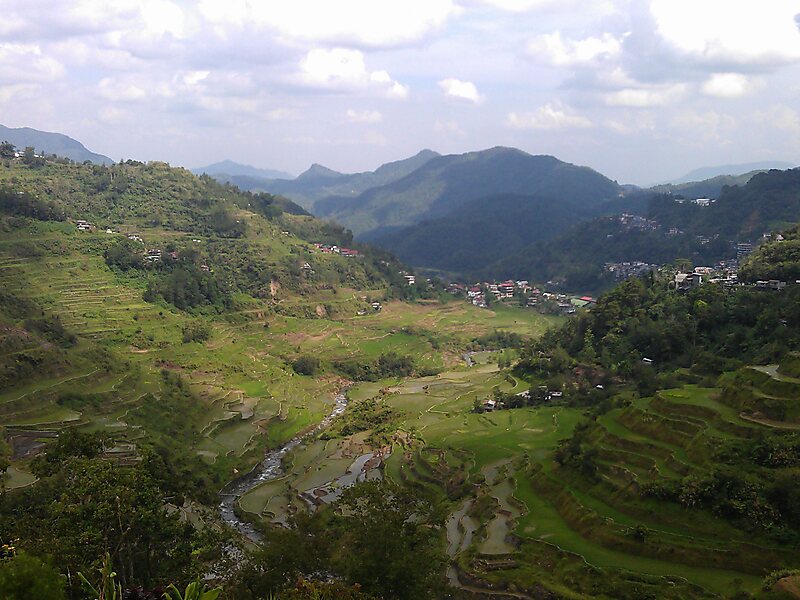 Banaue Rice Terraces View Point