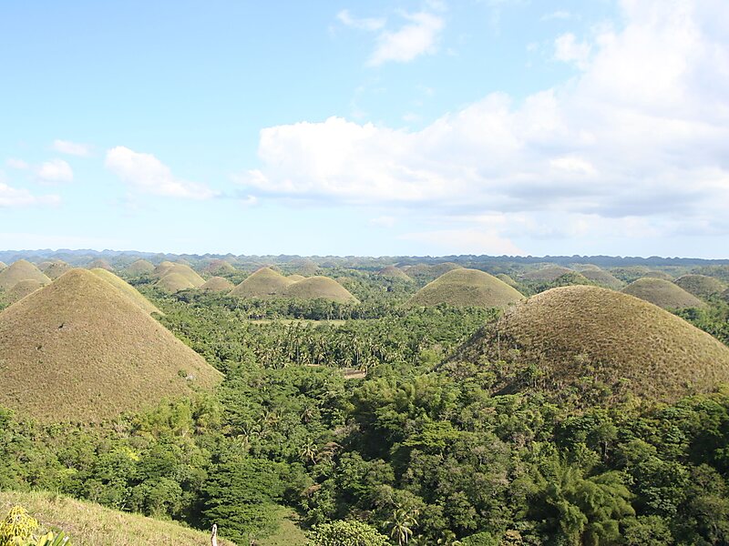 Chocolate Hills
