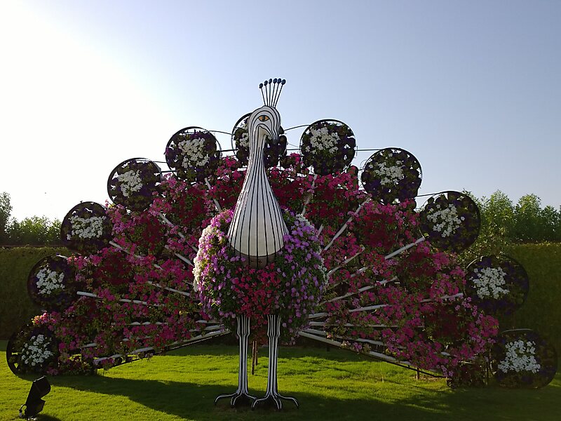 Dubai Miracle Garden