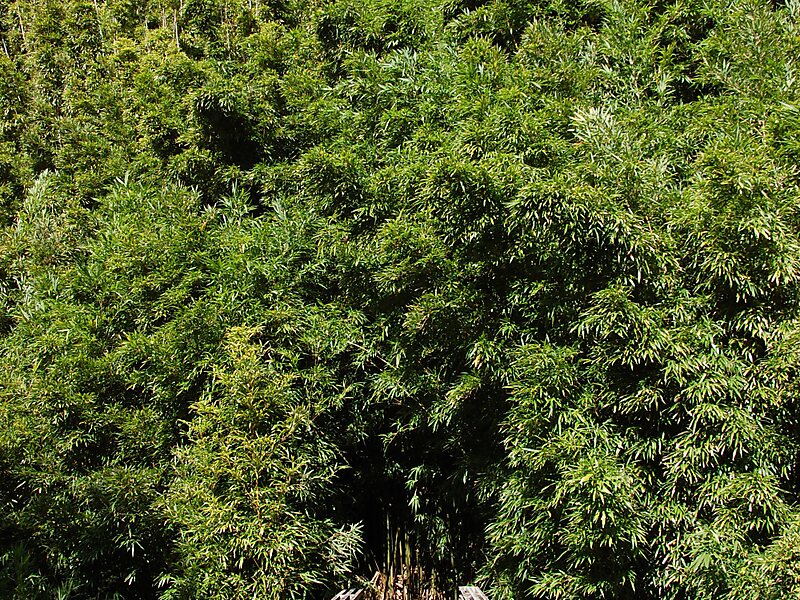 Parque nacional Haleakalā