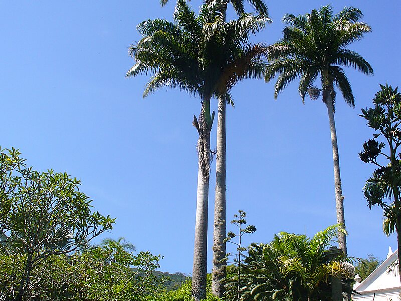 Robert-Burle-Marx-Stätte