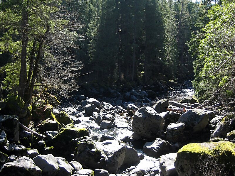 Avenue of the Giants