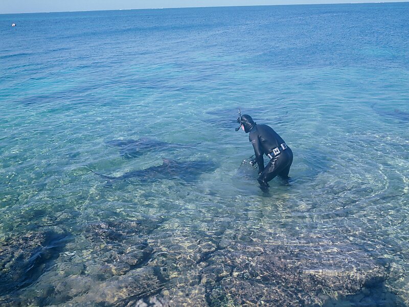 Walker's Cay in Bahamas Sygic Travel