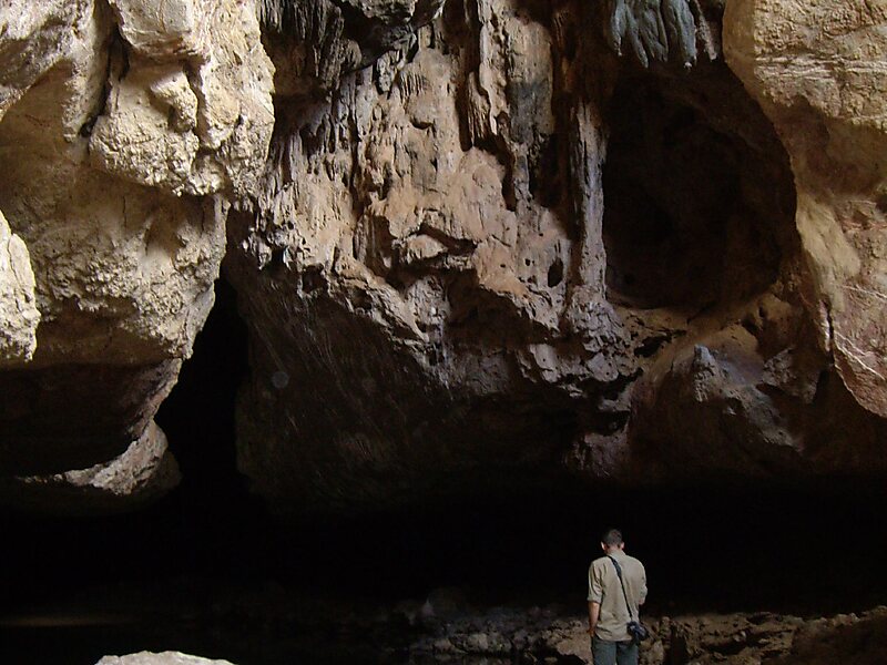 Tunnel Creek