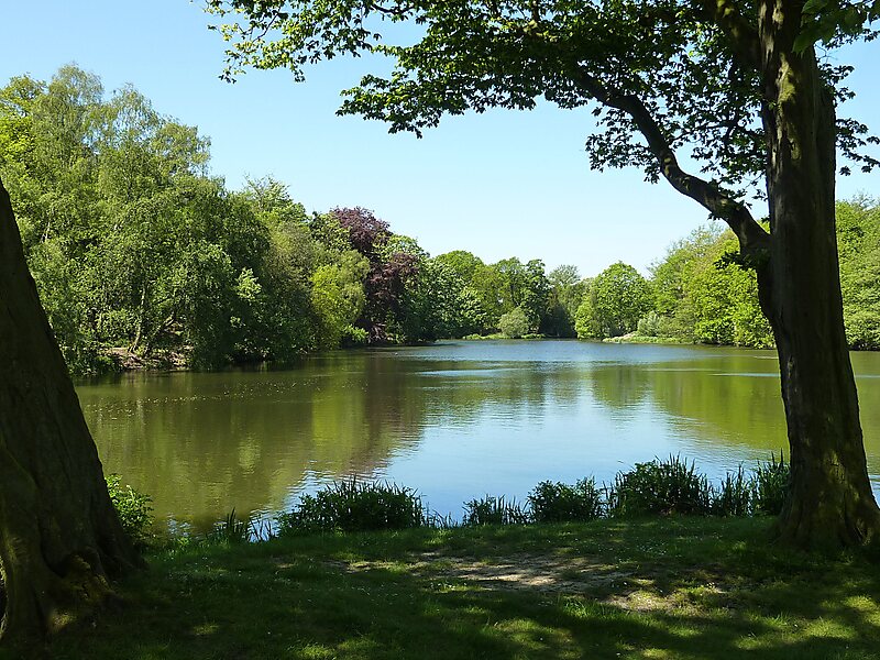 Nostell Priory Parkland