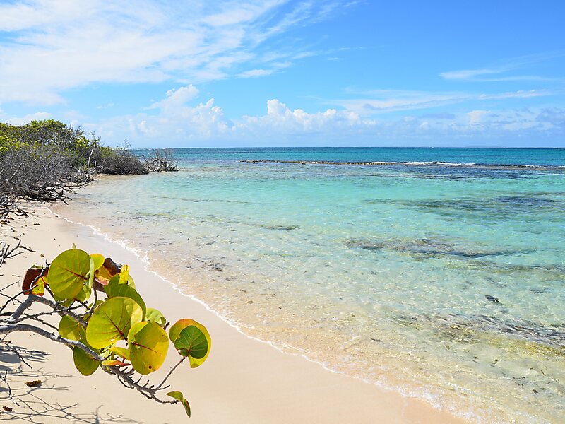 La Desirade  The Islands of Guadeloupe