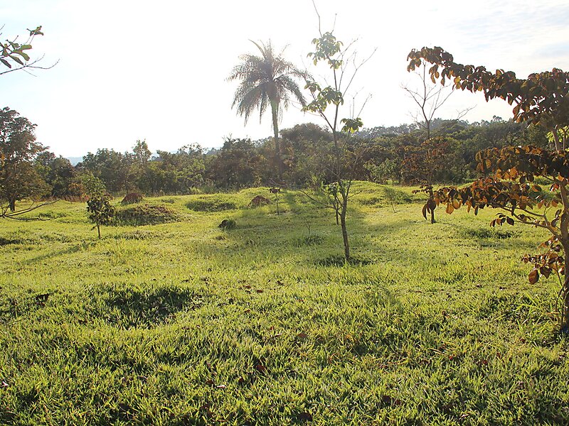 Parque Olhos d'Água