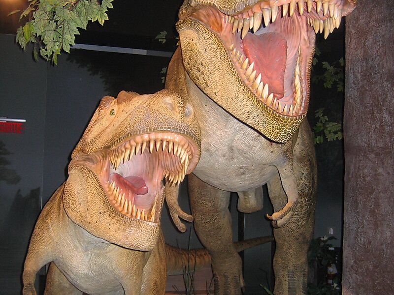 Canadian Museum of Nature