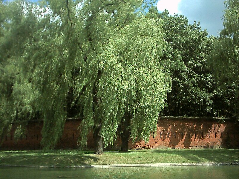 Ciudadela de Varsovia