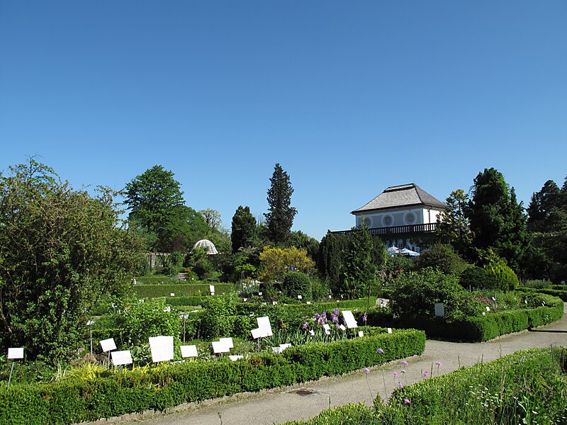 Botanical Garden München-Nymphenburg