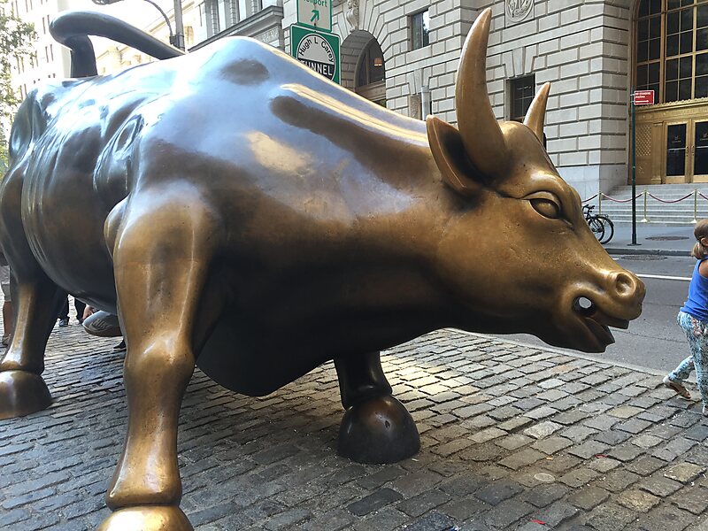 Charging Bull