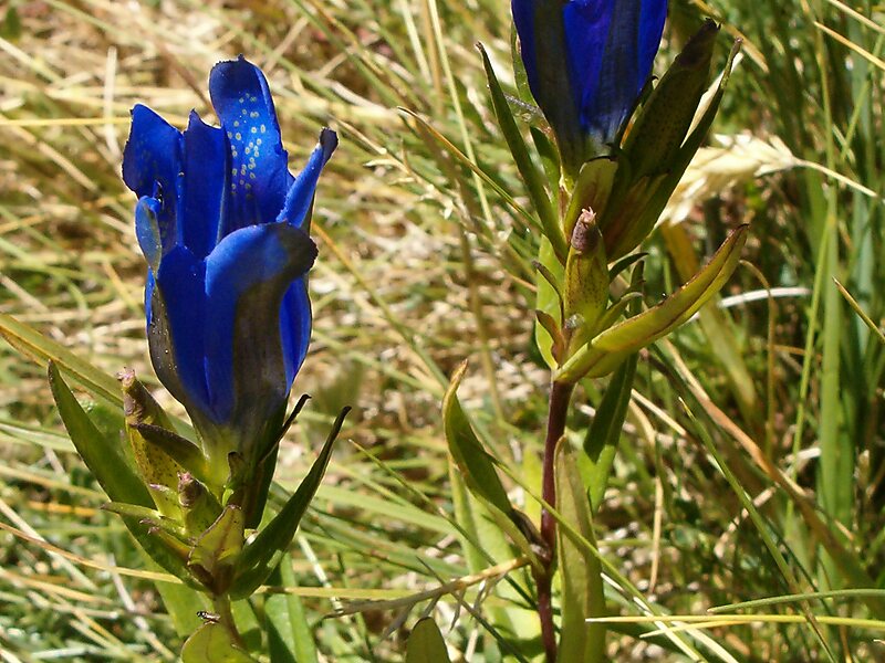 Národní park Hortobágy