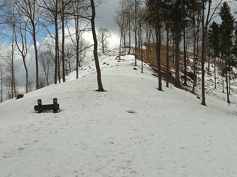 Rokantiškės Castle