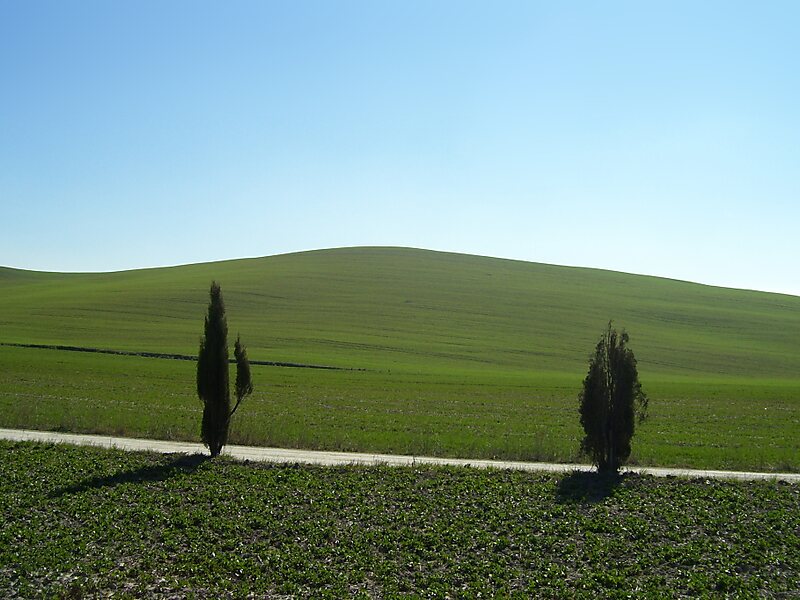 Val d'Orcia