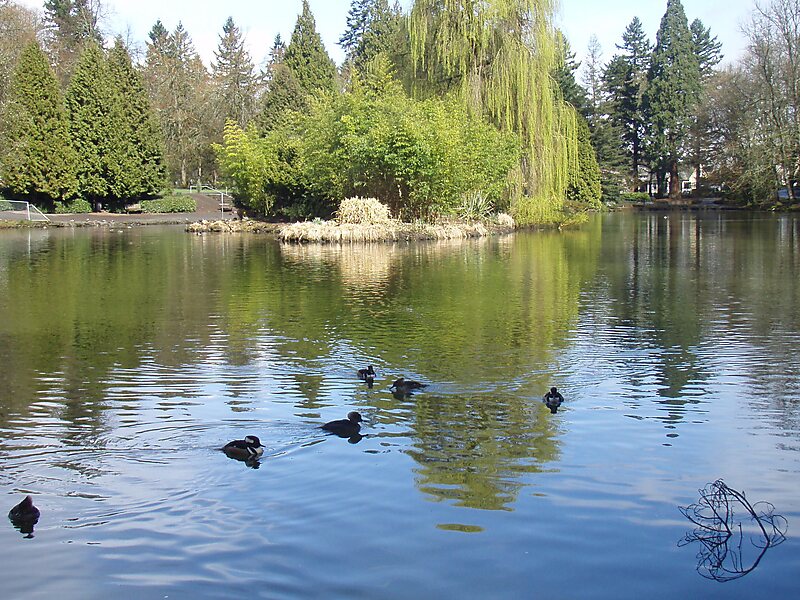 Laurelhurst Park