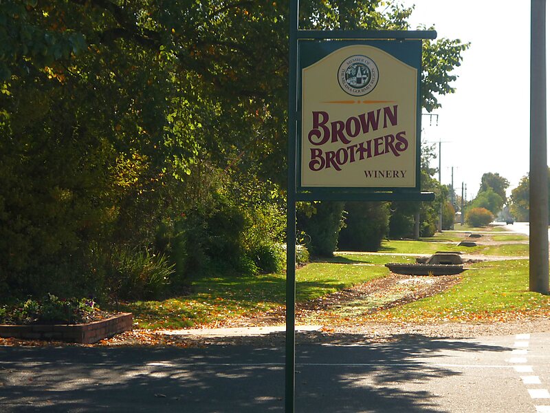 Brown Brothers Vineyard