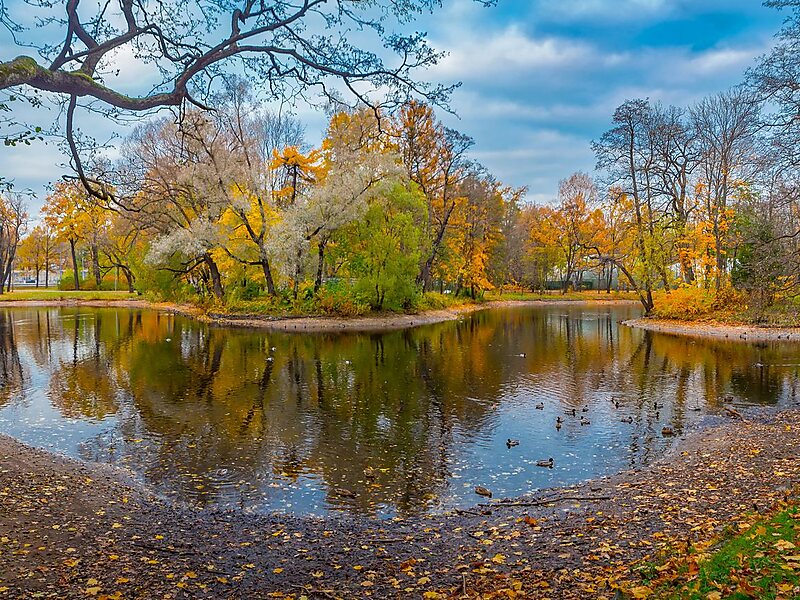 План елагина острова