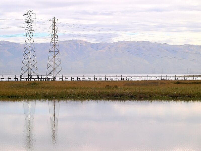 Baylands Nature Preserve