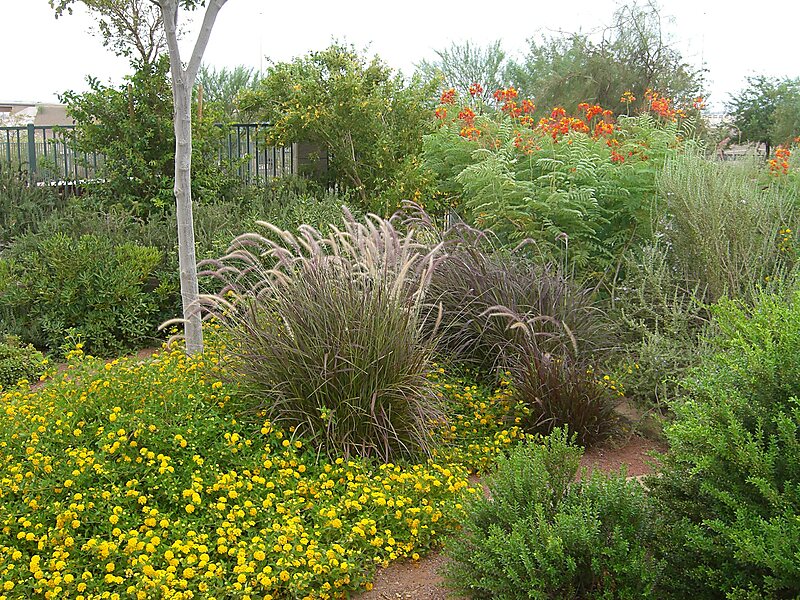 Acacia Demonstration Gardens