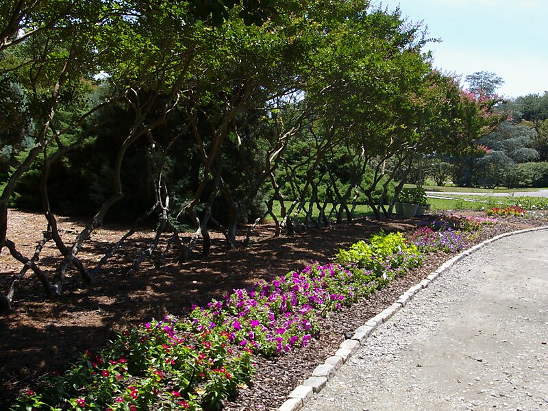 Norfolk Botanical Garden