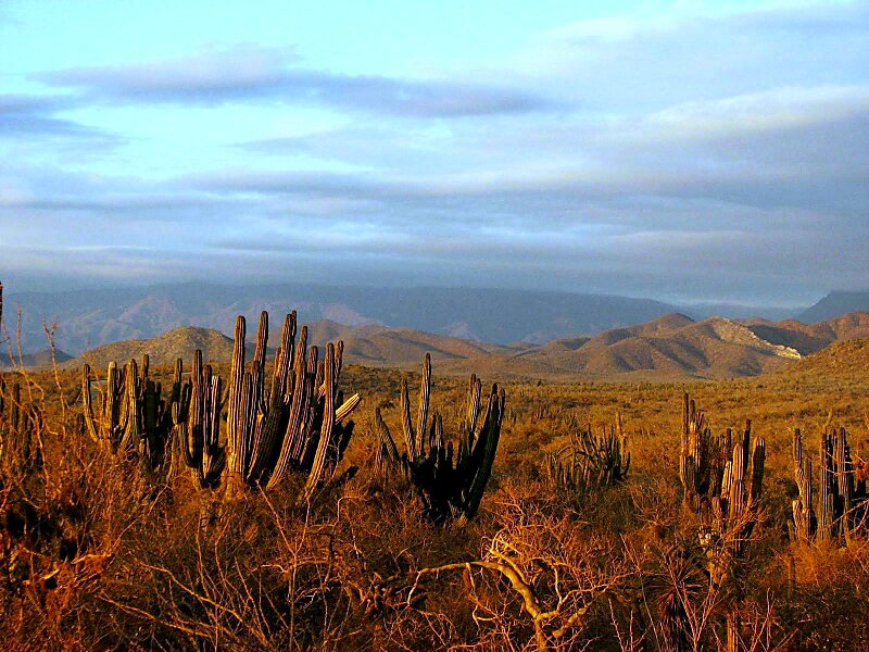 El Pescadero in Baja California Sur, México | Tripomatic