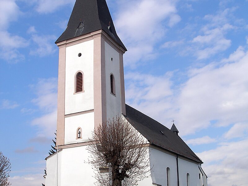 Drienov en Tripomatic