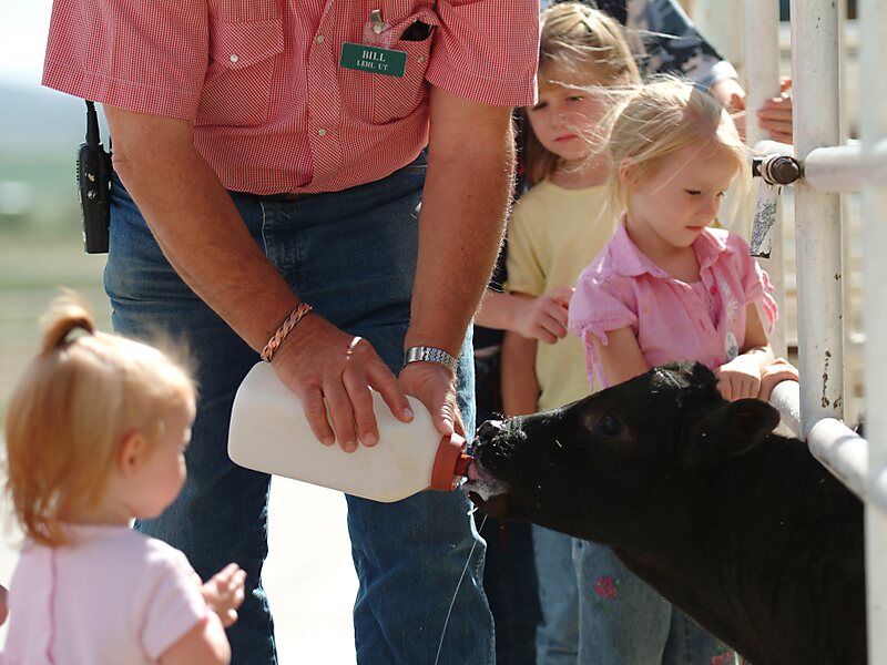 Thanksgiving Point Museum of Ancient Life