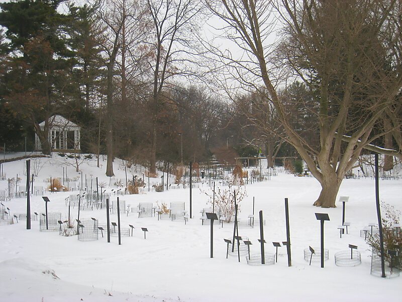 Beal Botanical Garden In East Lansing Michigan United States
