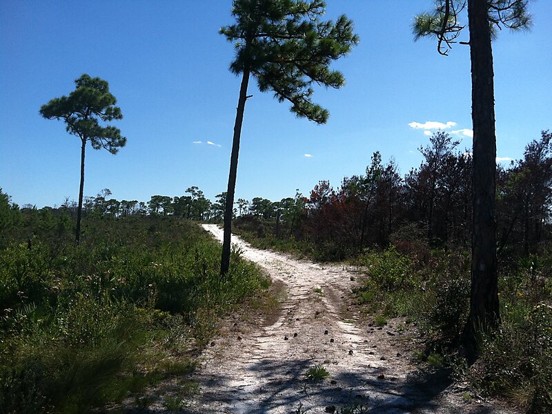Jonathan Dickinson State Park