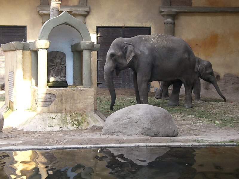 Animal Park Hagenbeck