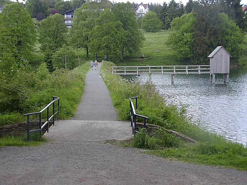 Upper Harz Water Management System