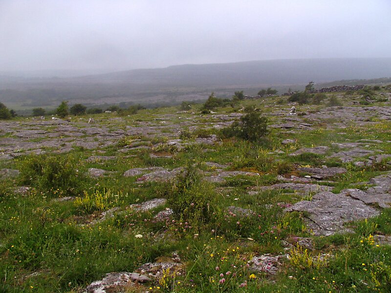 Burren