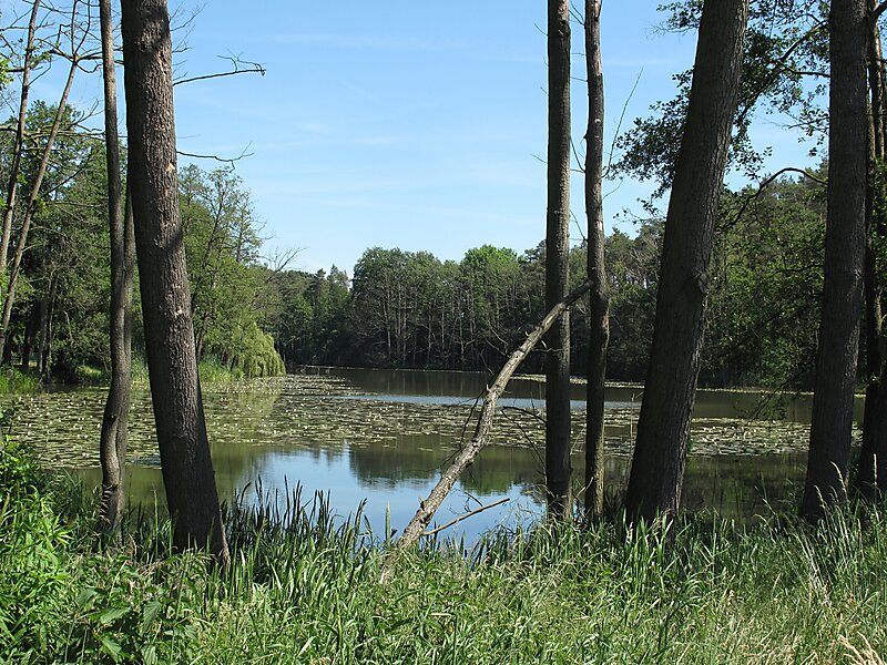Herzberger See