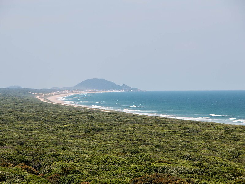 Acaraí State Park in São Francisco do Sul, Brasil | Tripomatic