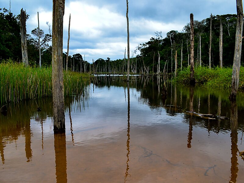 Parque Nacional do Descobrimento