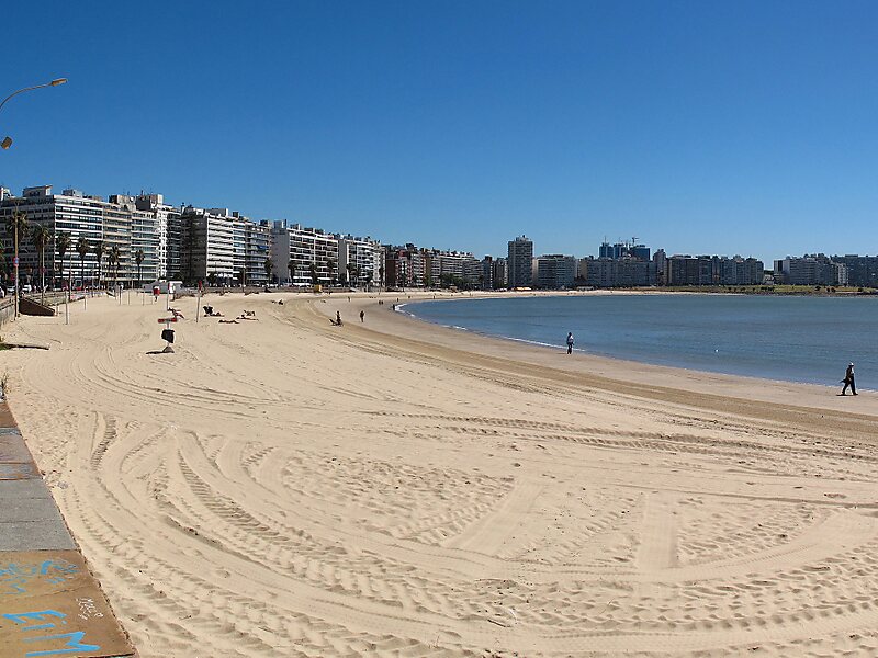 Pocitos Beach in Montevideo, Uruguay | Sygic Travel