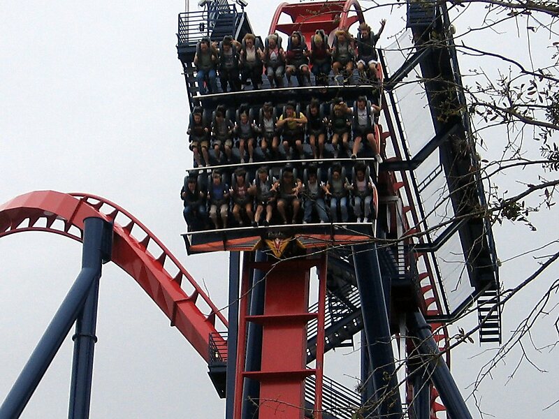 SheiKra - Busch Gardens Tampa (Tampa, Florida, United States)