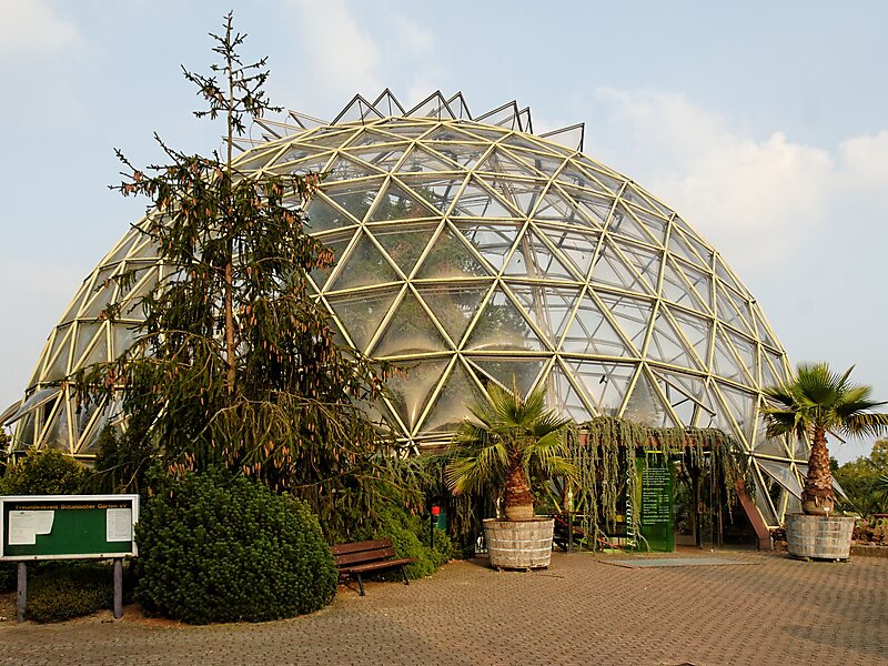 Botanischer Garten
