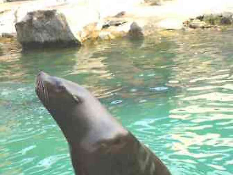 Seoul Grand Park Theme Garden