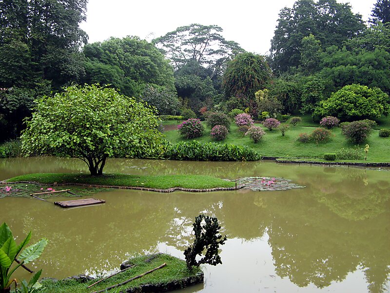 Koniglicher Botanischer Garten Peradeniya In Peradeniya Sri Lanka