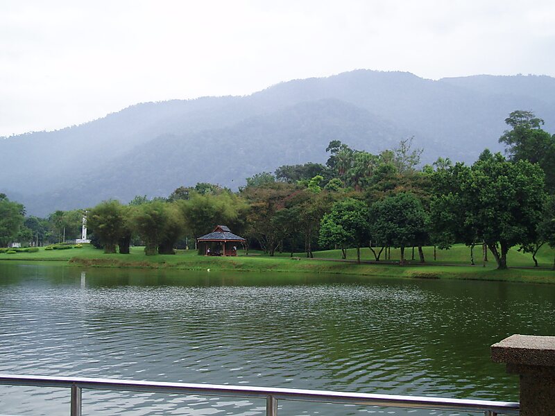 太平 马来西亚的太平湖公园 Sygic Travel